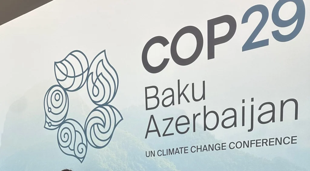 COP29