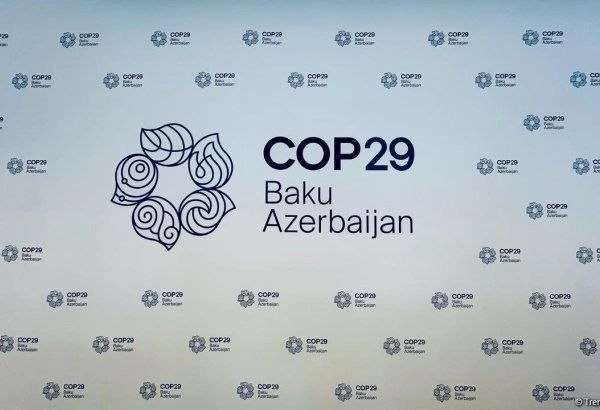 COP29