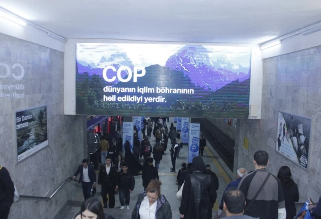 COP29