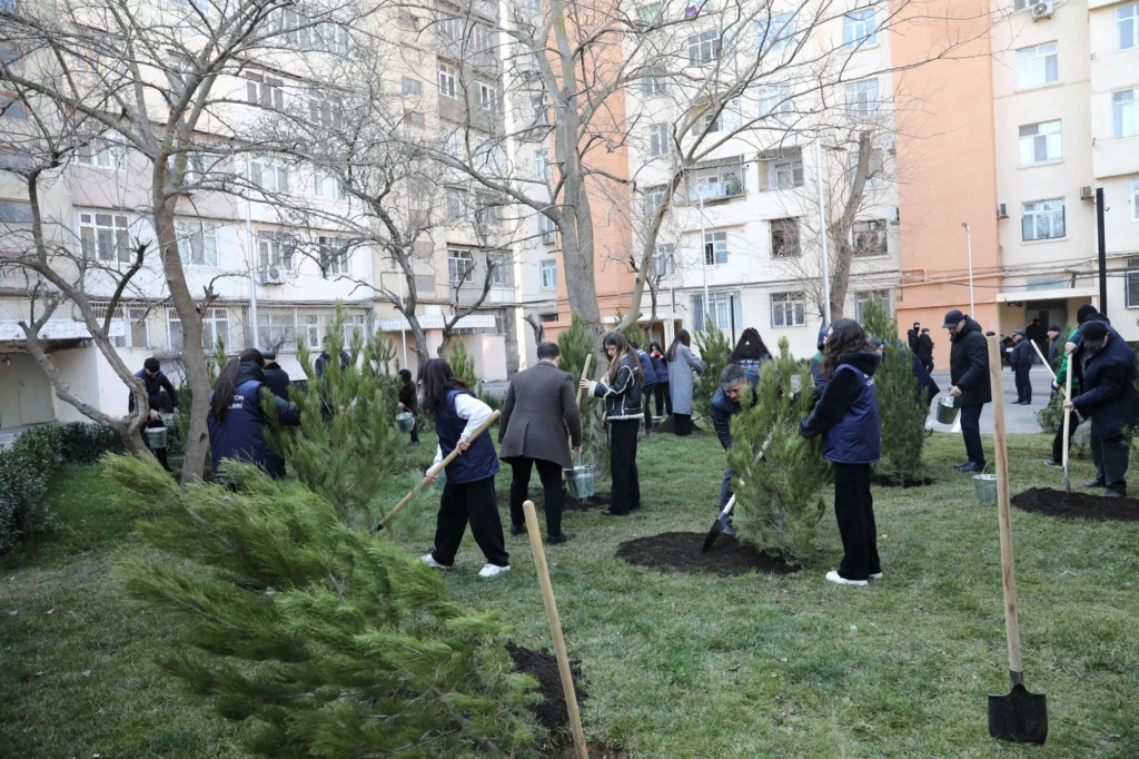 abadlaşdırılaraq istifadəyə verilib, Nizami rayonu, Park