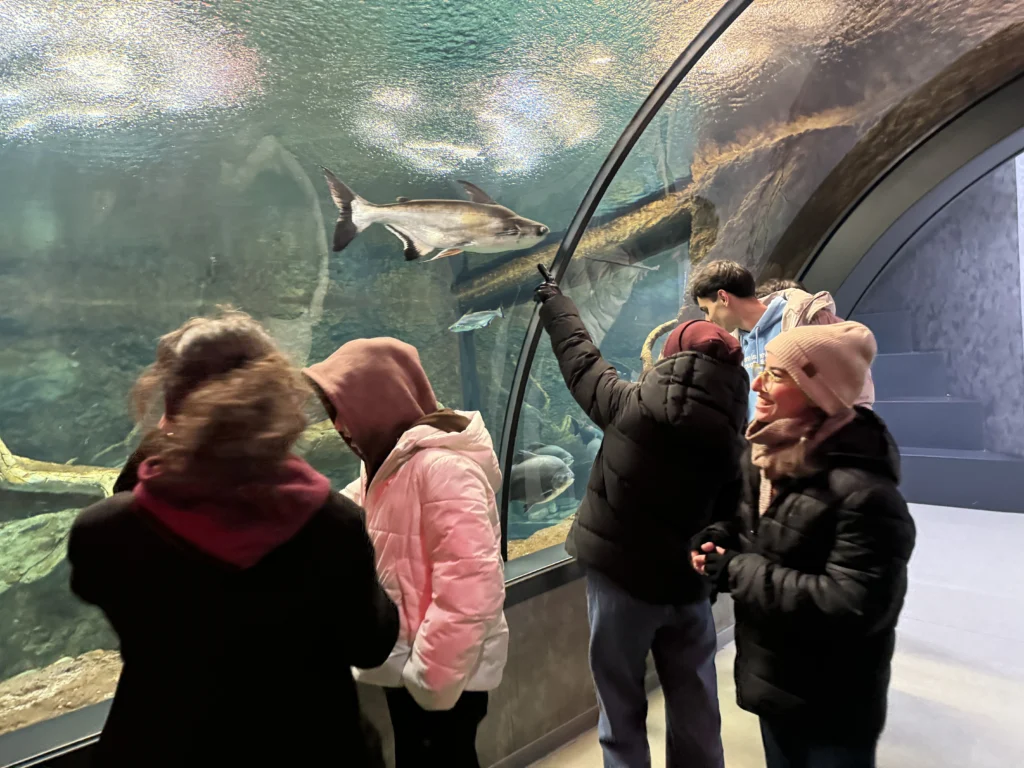 Gecə turu, Bakı Zooloji Parkı, Park