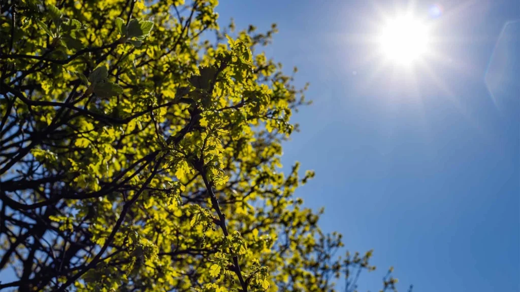 isti olacaq, isti, hava, hava proqnozu, hava haqqında,