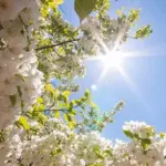 36 dərəcə isti, hava, hava proqnozu