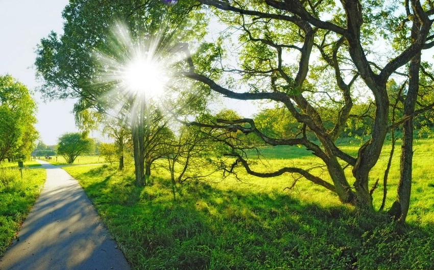 33 dərəcə isti, Hava, Hava proqnozu