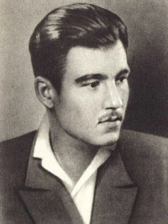 Mehdi Hüseynzadə, Sovet İttifaqı Qəhrəmanı, Mixaylo