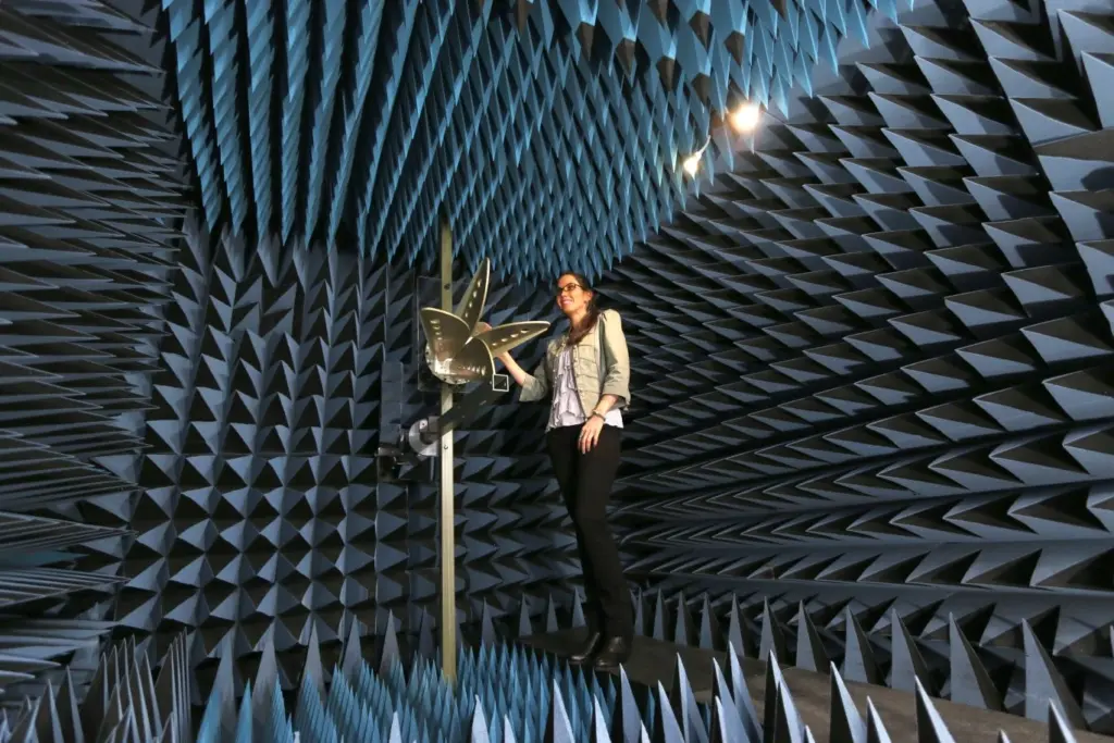 Yer kürəsinin ən səssiz otağı, Anechoic Chamber