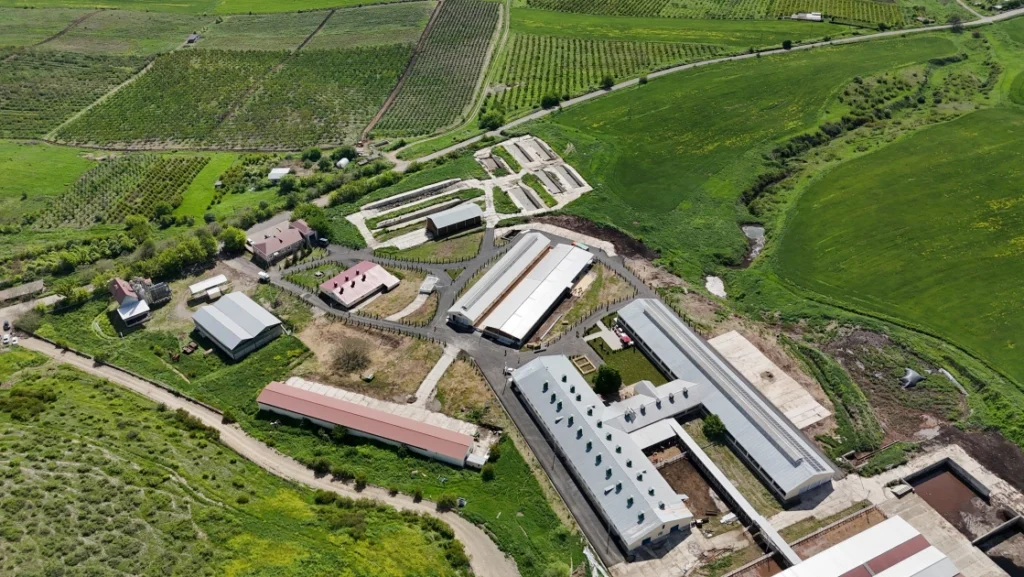 “Qoç Ət” Kəndli Fermer Təsərrüfatı, Qoç Ət, Xocalı, Xanabad, Mikayıl Cabbarov