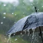 Yağış yağacaq, Hava, Hava proqnozu