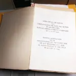 Özünü ölülüyə vurmaq, Cenevrə Konvensiyası