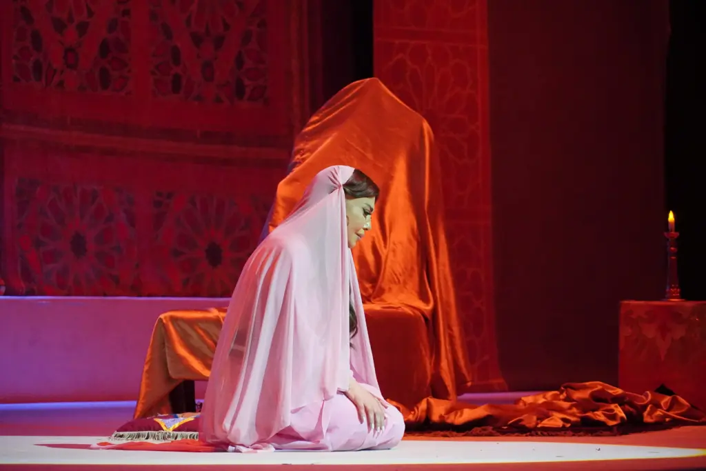 "Opera günləri", "Opera günləri" layihəsi, Opera günləri, Azərbaycan Dövlət Akademik Opera və Balet Teatrı