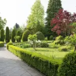 “Özbəkistan” parkı, Özbəkistan parkı