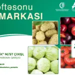 “Kənddən Şəhərə” həftəsonu yarmarkası, “Kənddən Şəhərə”, Yarmarka