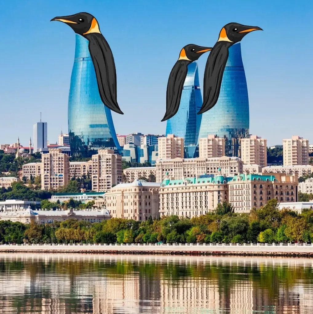 İllustrator, Robin Yayla, Bakı