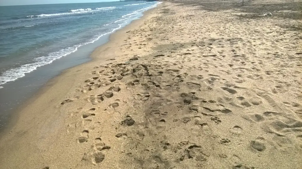 Bakının hansı çimərliklərindən, Çimərlik