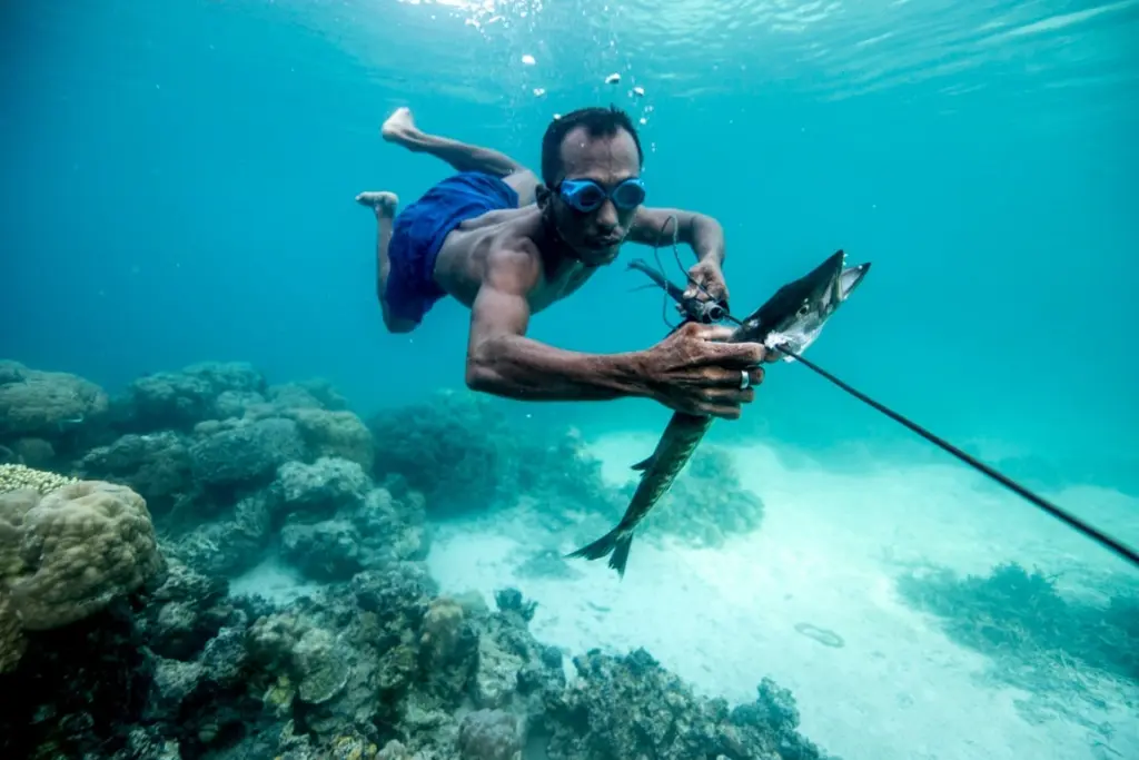 Bajau, Bajau xalqı, "Dəniz qaraçıları", "Dəniz köçəriləri"