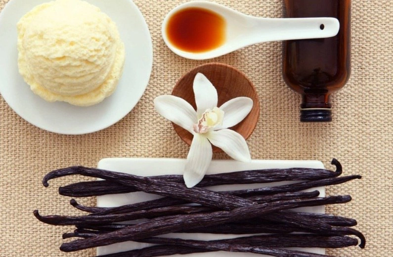 Vanil, "Vanilla planifolia"
