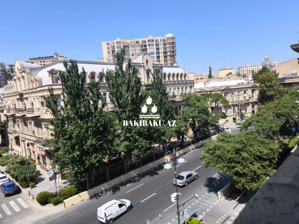 Bakı və Çinar ağacları, Çinar, Ağac, Çinar ağacı
