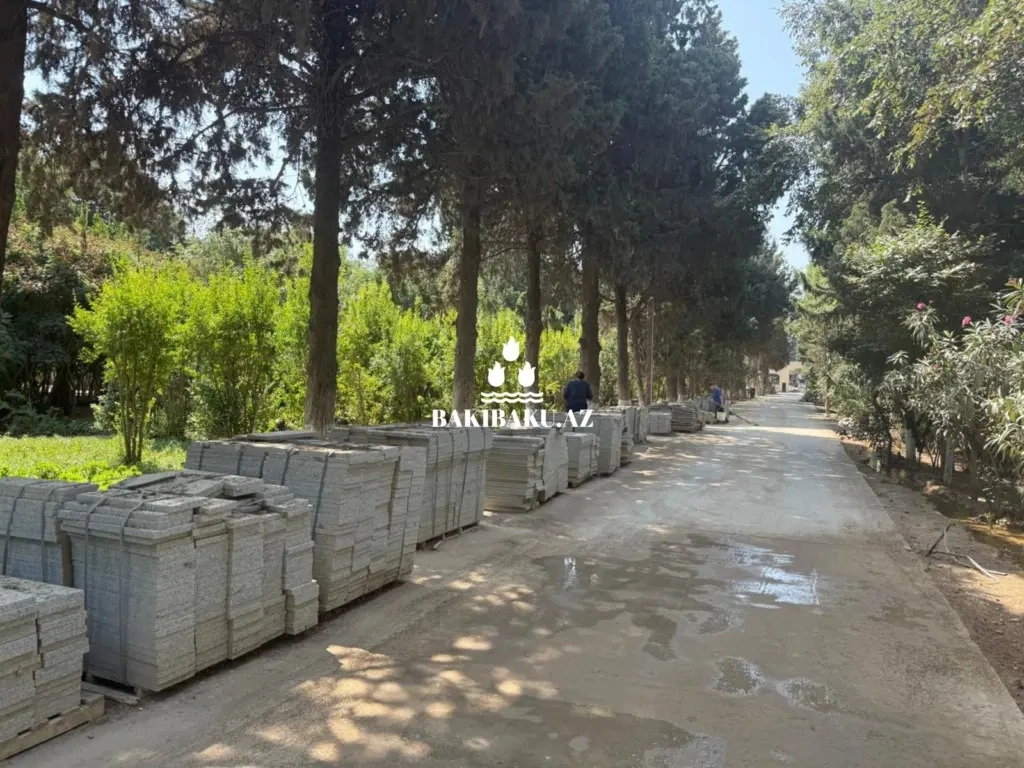 Дендрологическом Саду