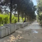 “Dendrologiya bağı”