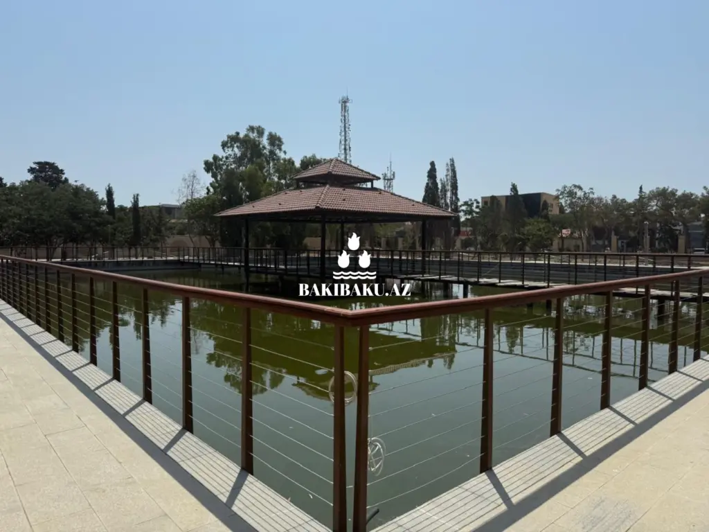 "Dendrologiya bağı”, Murtuza Muxtarov