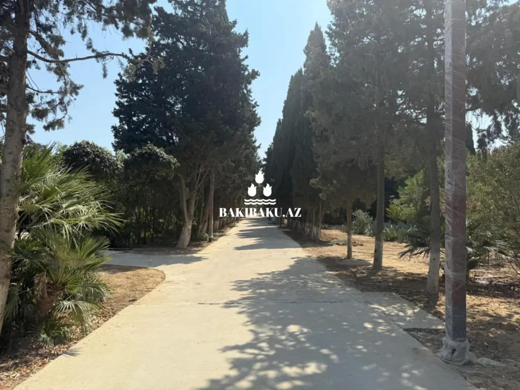 "Dendrologiya bağı”, Murtuza Muxtarov