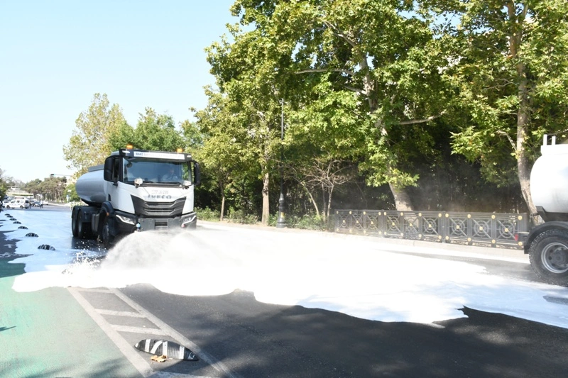 Təmizlik işləri, Mərkəzi Nəbatat Bağı
