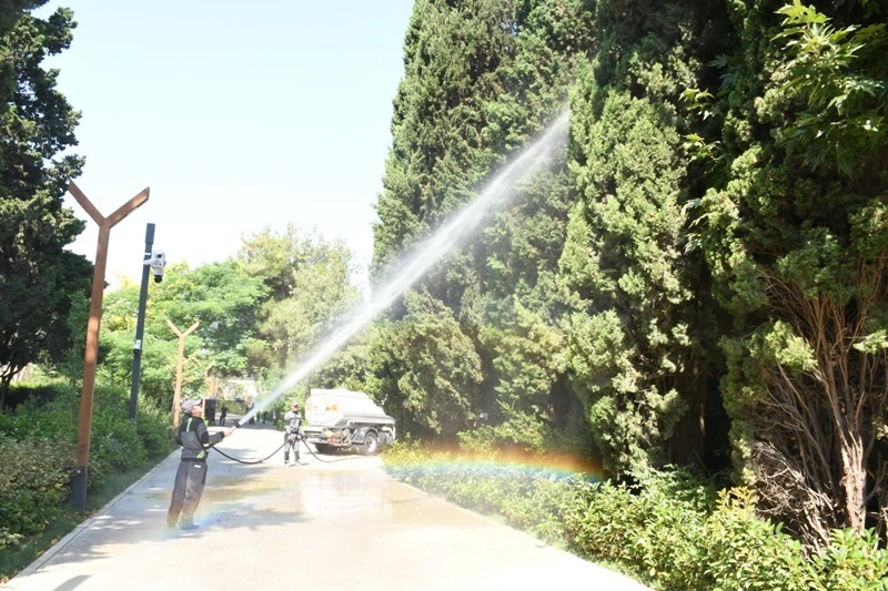 Təmizlik işləri, Mərkəzi Nəbatat Bağı