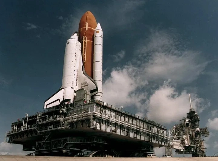Kosmos, "Ağacdələn", “Discovery”