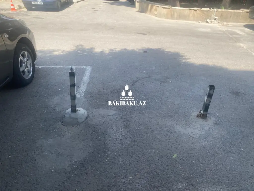 Nəsimi rayonu, Mir Cəlal küçəsi