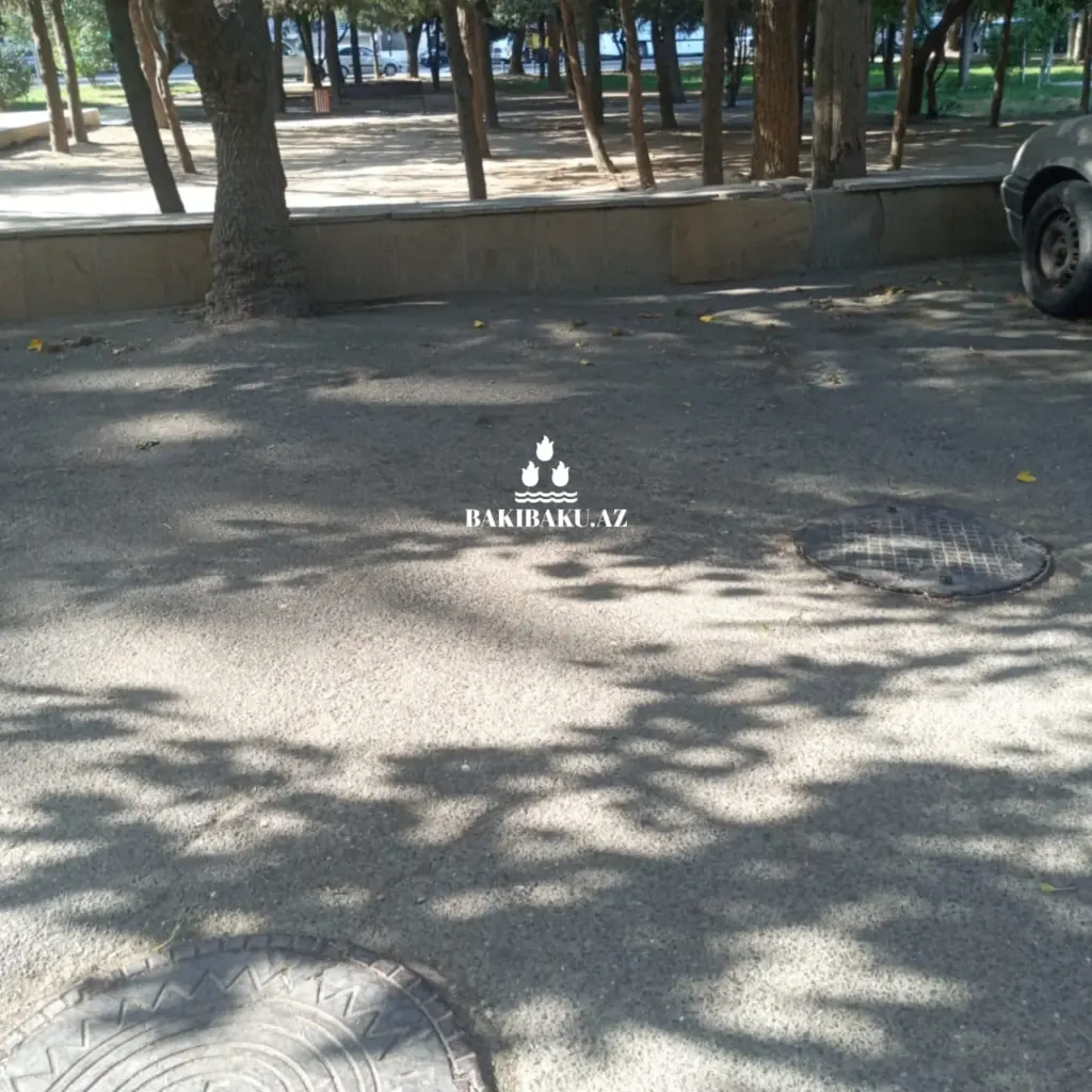 Nəsimi rayonu, Mir Cəlal küçəsi
