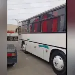 Qanunsuz sərnişindaşıma, Avtobus