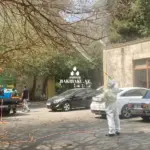 Ağ Amerika kəpənəklərinə qarşı dərmanlama, Ağ Amerika kəpənəkləri, Yaşıllaşdırma Təsərrüfatı Birliyi, Dərmanlama