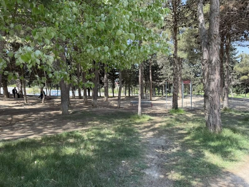 YTB, Yaşıllaşdırma Təsərrüfatı Birliyi, Bakı Şəhər İcra Hakimiyyəti, Binəqədi rayonu, "Pitomnik bağı"