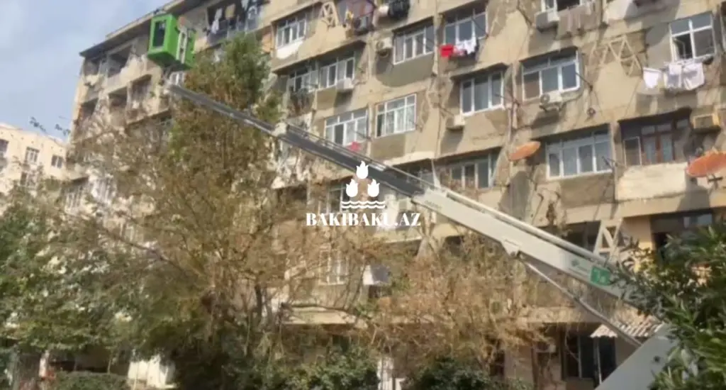 YTB, Yaşıllaşdırma Təsərrüfatı Birliyi, Dezinfeksiya