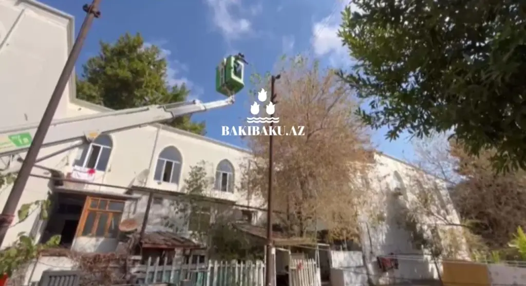 YTB, Yaşıllaşdırma Təsərrüfatı Birliyi, Dezinfeksiya