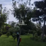 YTB, Yaşıllaşdırma Təsərrüfatı Birliyi, Dezinfeksiya