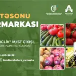 «Из села в город», ярмарка