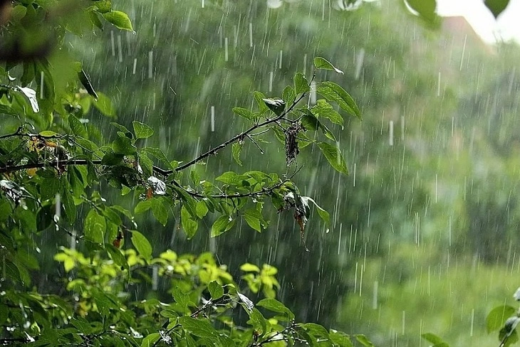 Bakıda sabah yağış yağacağı gözlənilir, Hava, Hava proqnozu