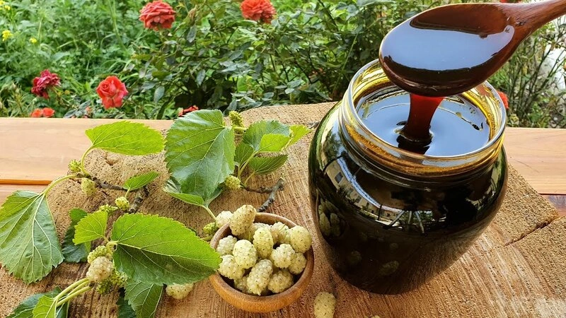 Bəhməz, Üzüm, Tut, Xurma, Qarağat, Nar