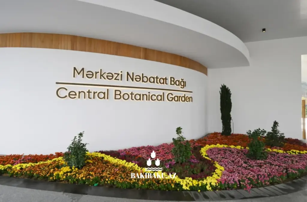 Mərkəzi Nəbatat Bağında yanğın, Mərkəzi Nəbatat Bağı, Bakı Şəhər İcra Hakimiyyəti, Fövqəladə Hallar Nazirliyi, Yanğın, Təlim