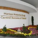 Mərkəzi Nəbatat Bağında yanğın, Mərkəzi Nəbatat Bağı, Bakı Şəhər İcra Hakimiyyəti, Fövqəladə Hallar Nazirliyi, Yanğın, Təlim