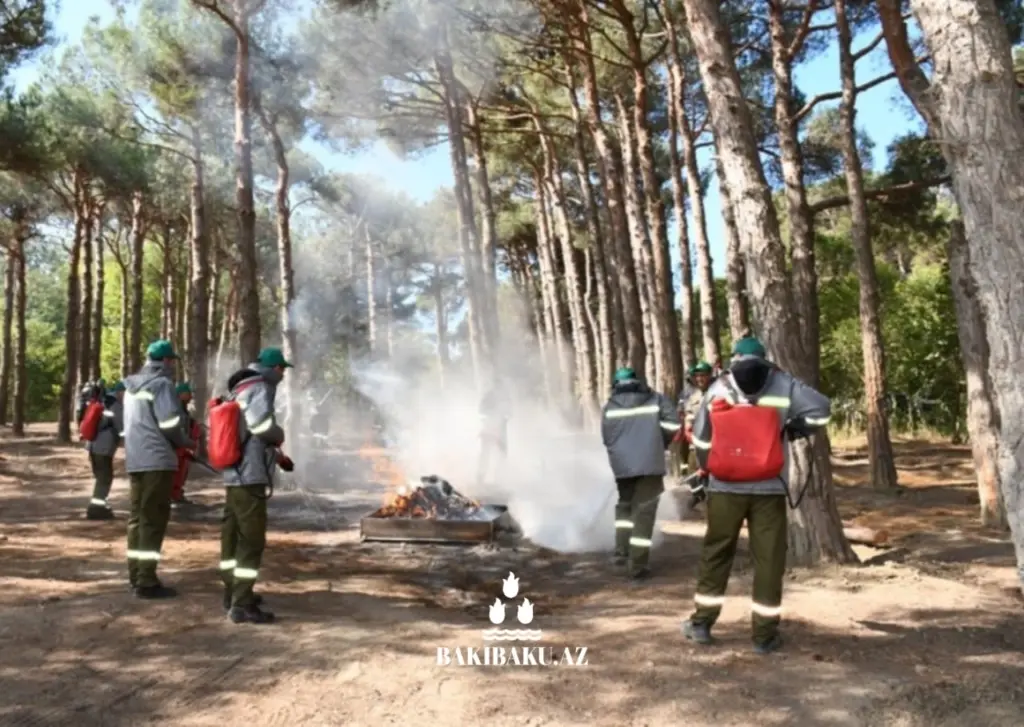 Mərkəzi Nəbatat Bağı, Bakı Şəhər İcra Hakimiyyəti, Fövqəladə Hallar Nazirliyi, Yanğın, Təlim