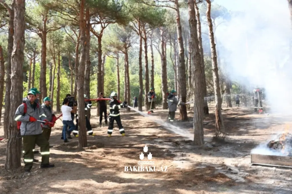 Mərkəzi Nəbatat Bağı, Bakı Şəhər İcra Hakimiyyəti, Fövqəladə Hallar Nazirliyi, Yanğın, Təlim
