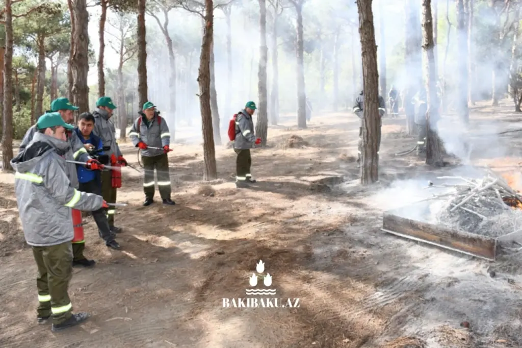 Mərkəzi Nəbatat Bağı, Bakı Şəhər İcra Hakimiyyəti, Fövqəladə Hallar Nazirliyi, Yanğın, Təlim