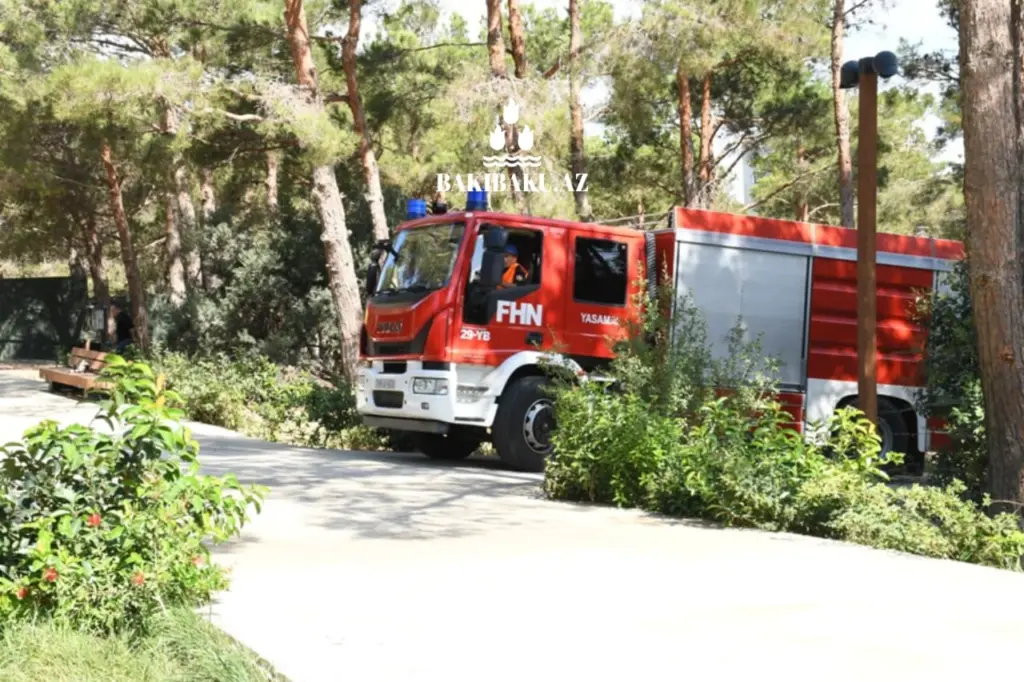 Mərkəzi Nəbatat Bağı, Bakı Şəhər İcra Hakimiyyəti, Fövqəladə Hallar Nazirliyi, Yanğın, Təlim