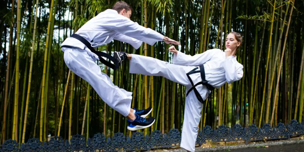 Международный день тхэквондо, Тхэквондо