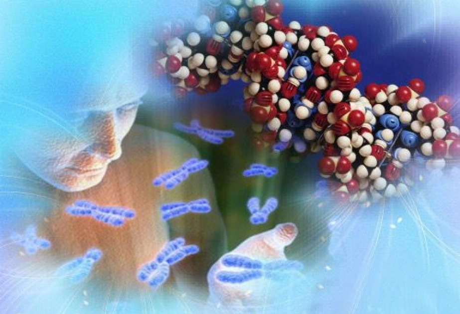 Virus, Zülal