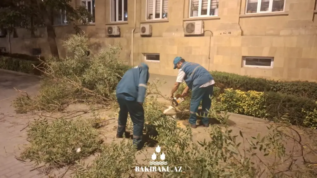Yasamal rayonu, Ağacaşma, YTB