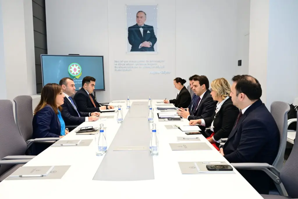 Azərbaycan və TİKA, TİKA