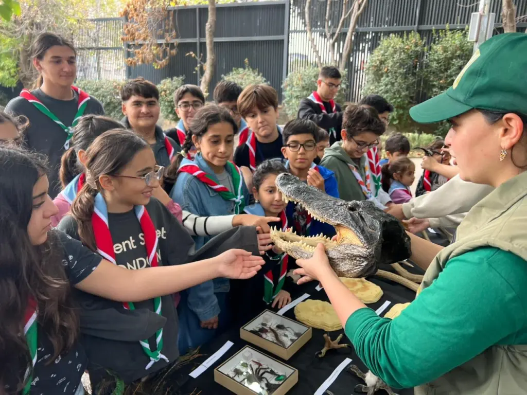 Bakı Zooloji Parkı, “Yaşıl izlər”
